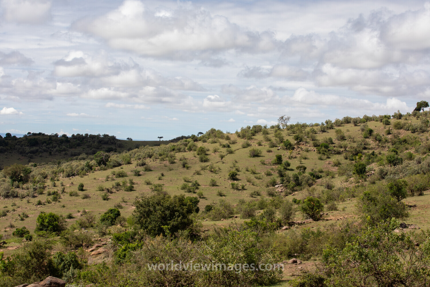 Maasai Mara