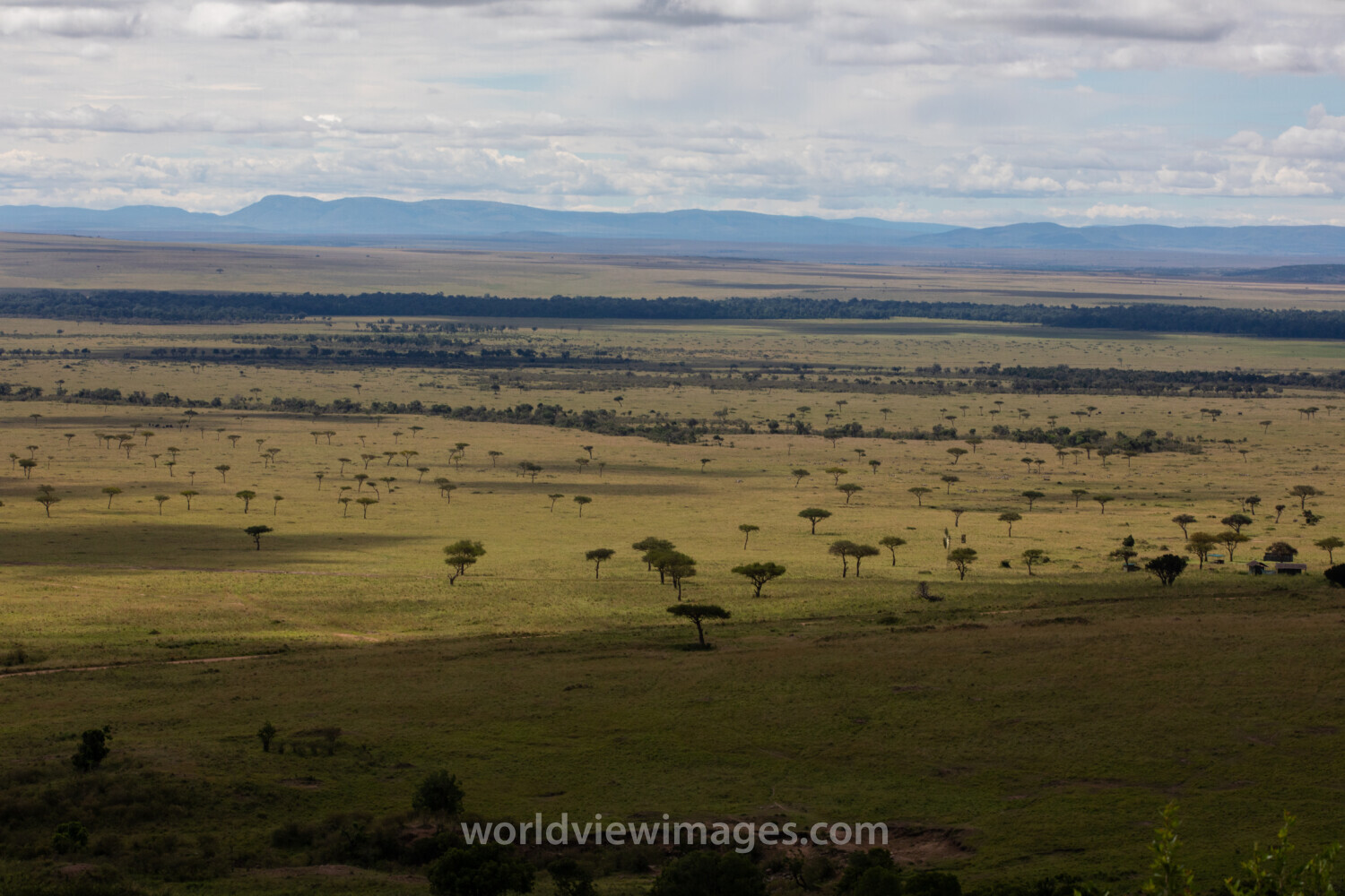 Maasai Mara