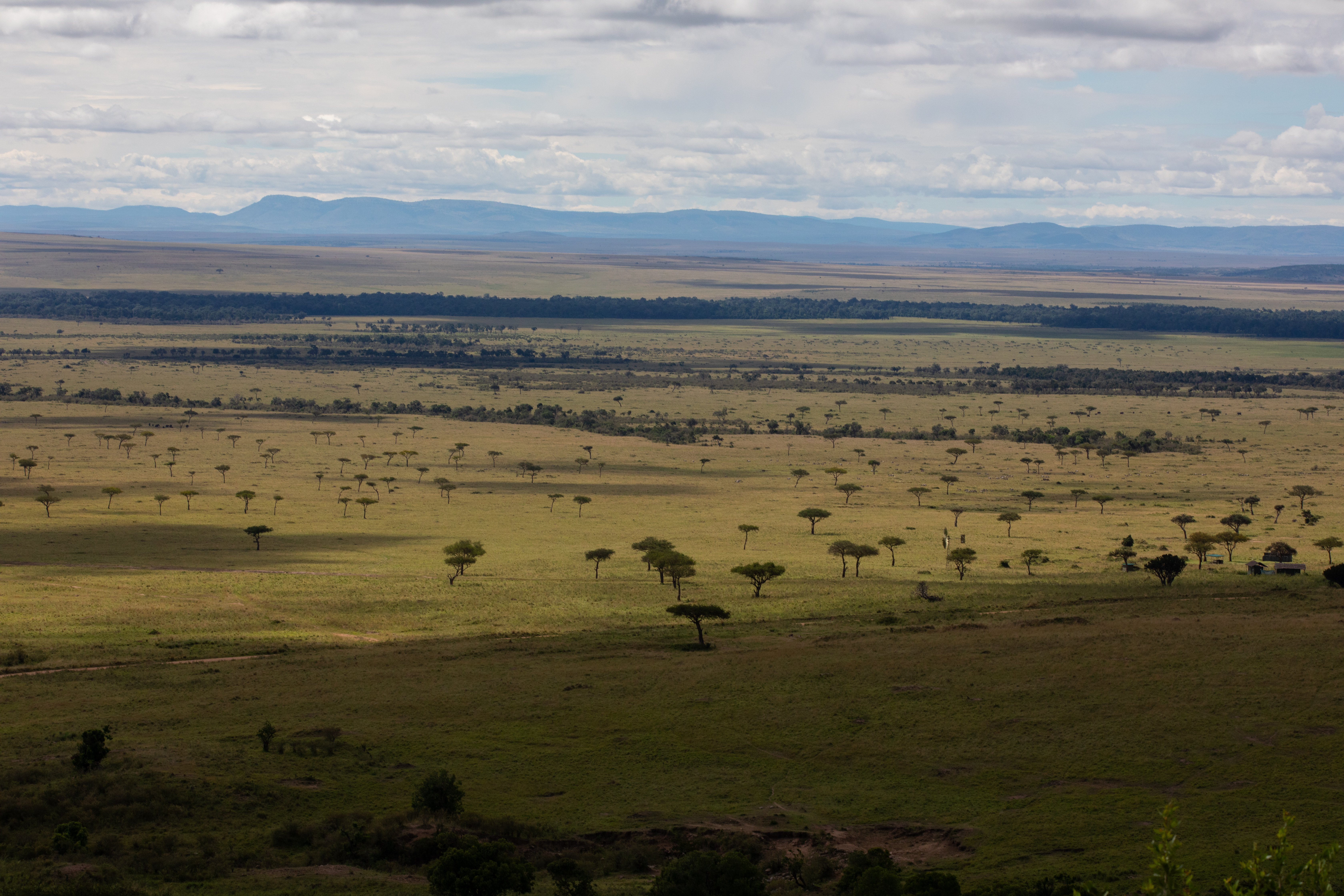 Maasai Mara