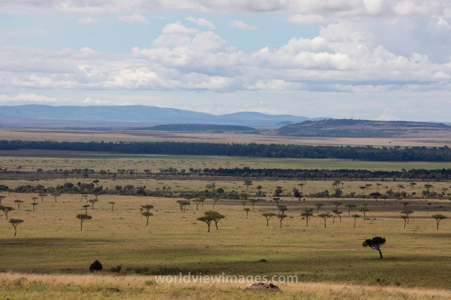 Maasai Mara