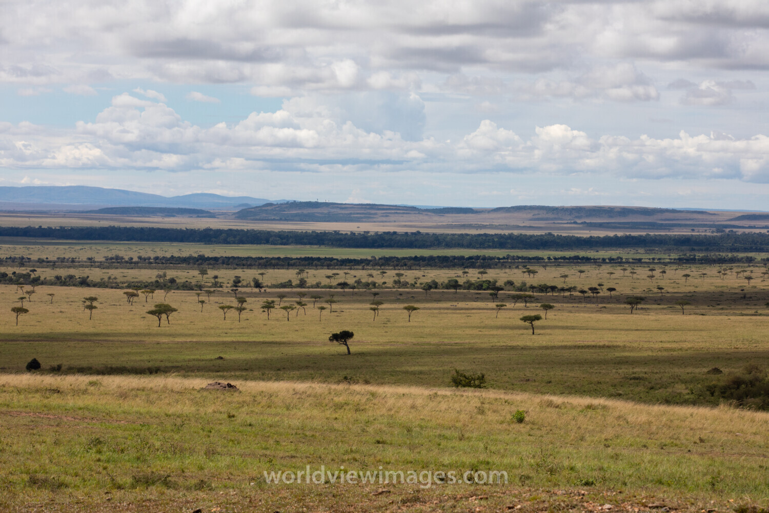 Maasai Mara
