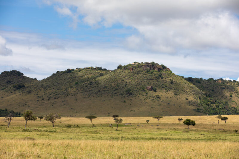Maasai Mara — Kenya, game park, Masai Mara, animals, Africa