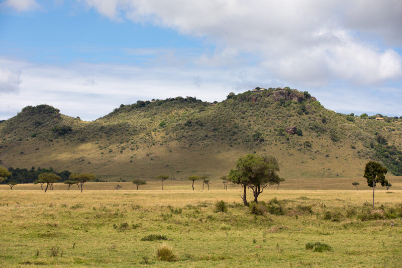 Maasai Mara — Kenya, game park, Masai Mara, animals, Africa