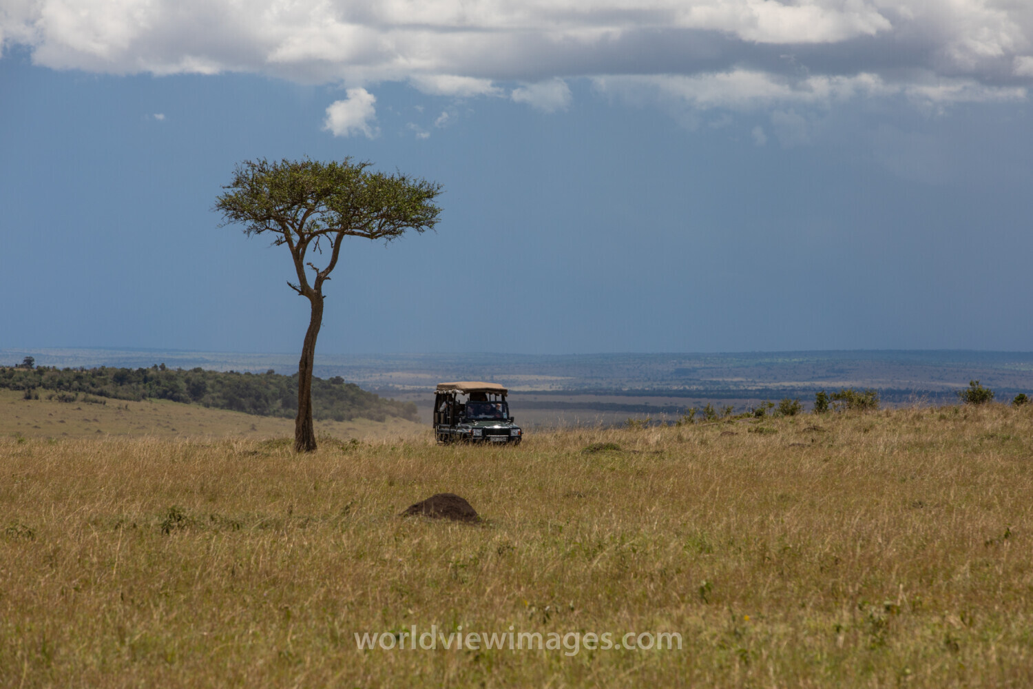 Maasai Mara