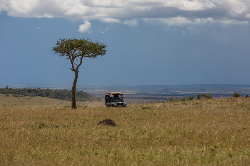 Maasai Mara — Kenya, game park, Masai Mara, animals, Africa