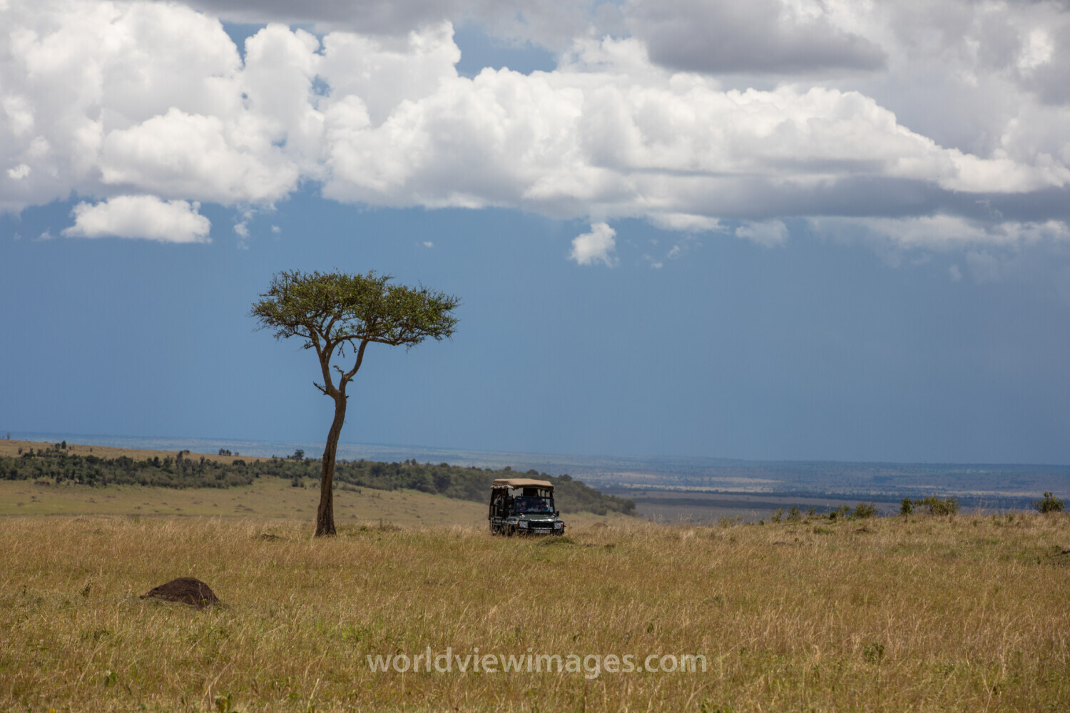 Maasai Mara