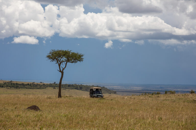 Maasai Mara — Kenya, game park, Masai Mara, animals, Africa