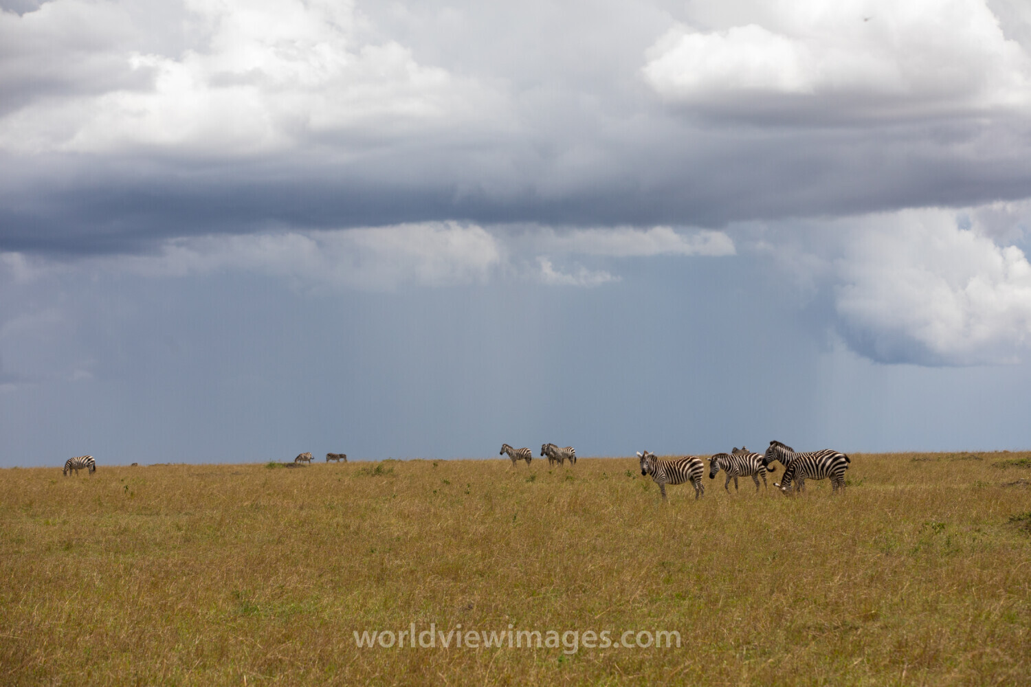 Maasai Mara