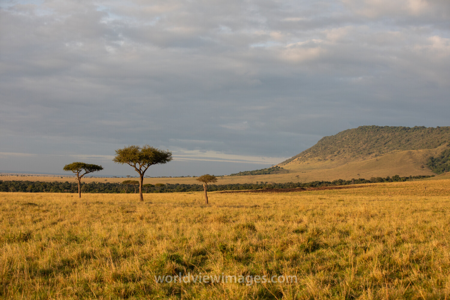Maasai Mara