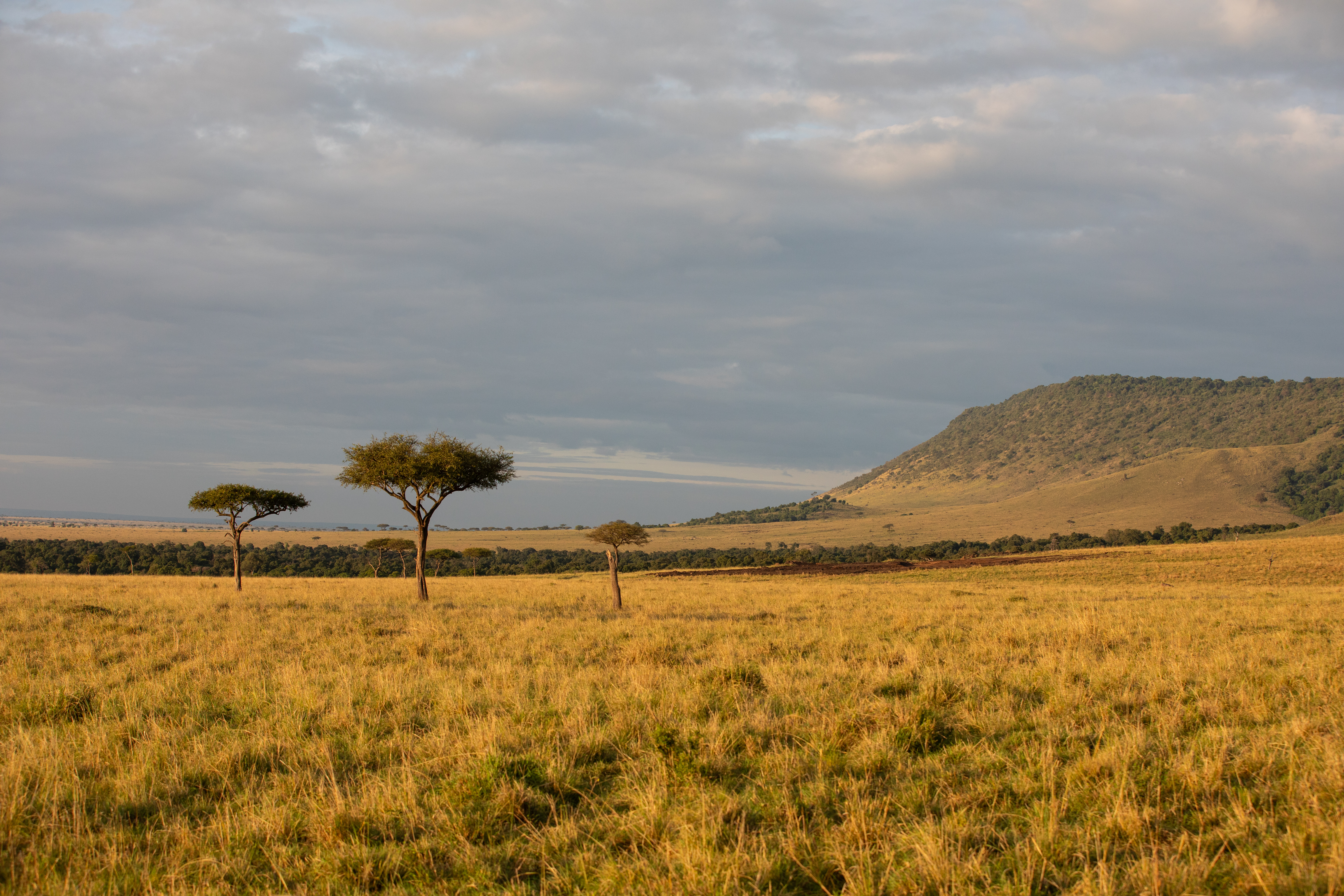 Maasai Mara