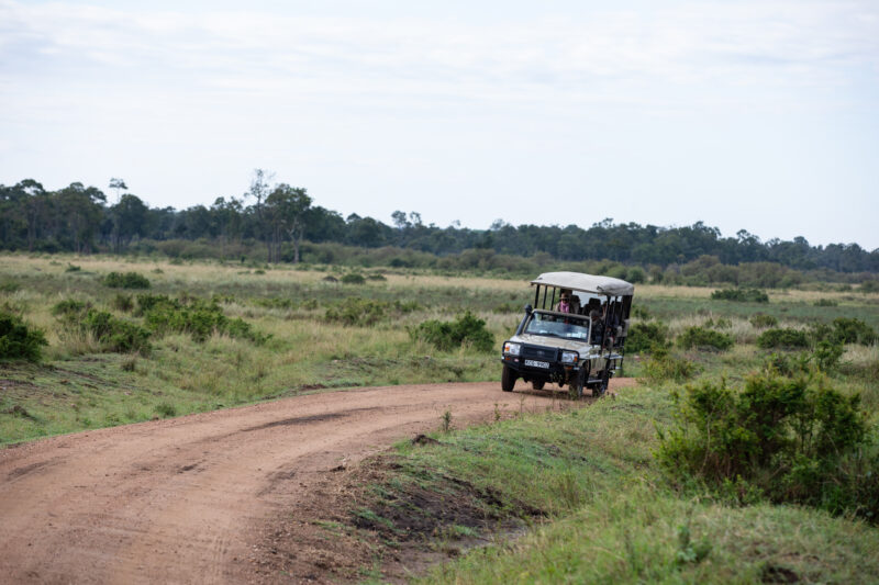 WVI_010073 — Kenya, game park, Masai Mara, animals, Africa