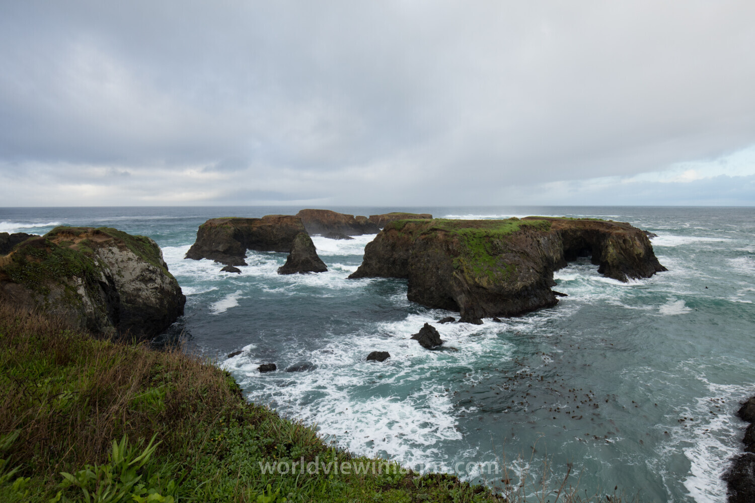 Rocky Coast in Oregon