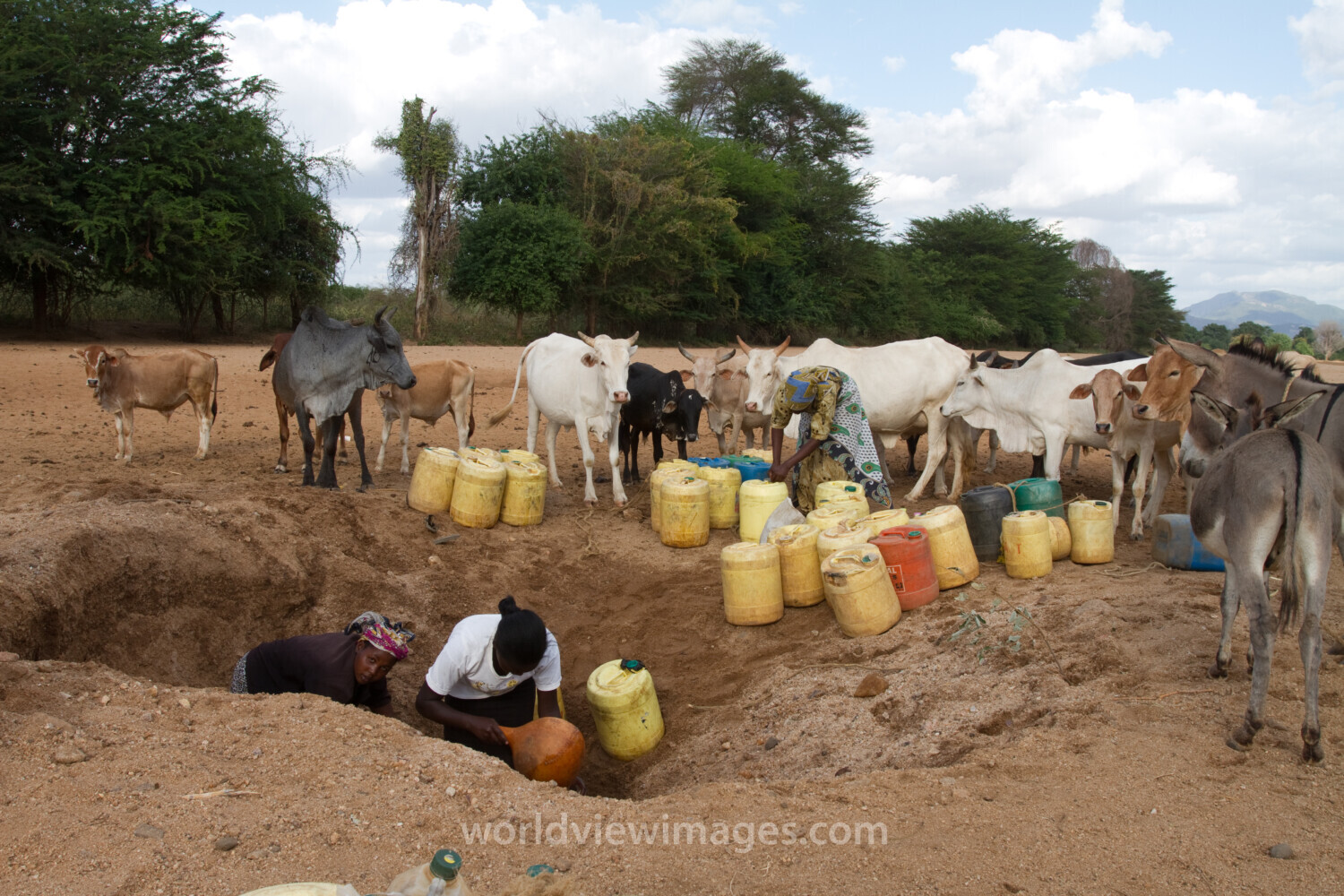 Collecting Water in Kenya