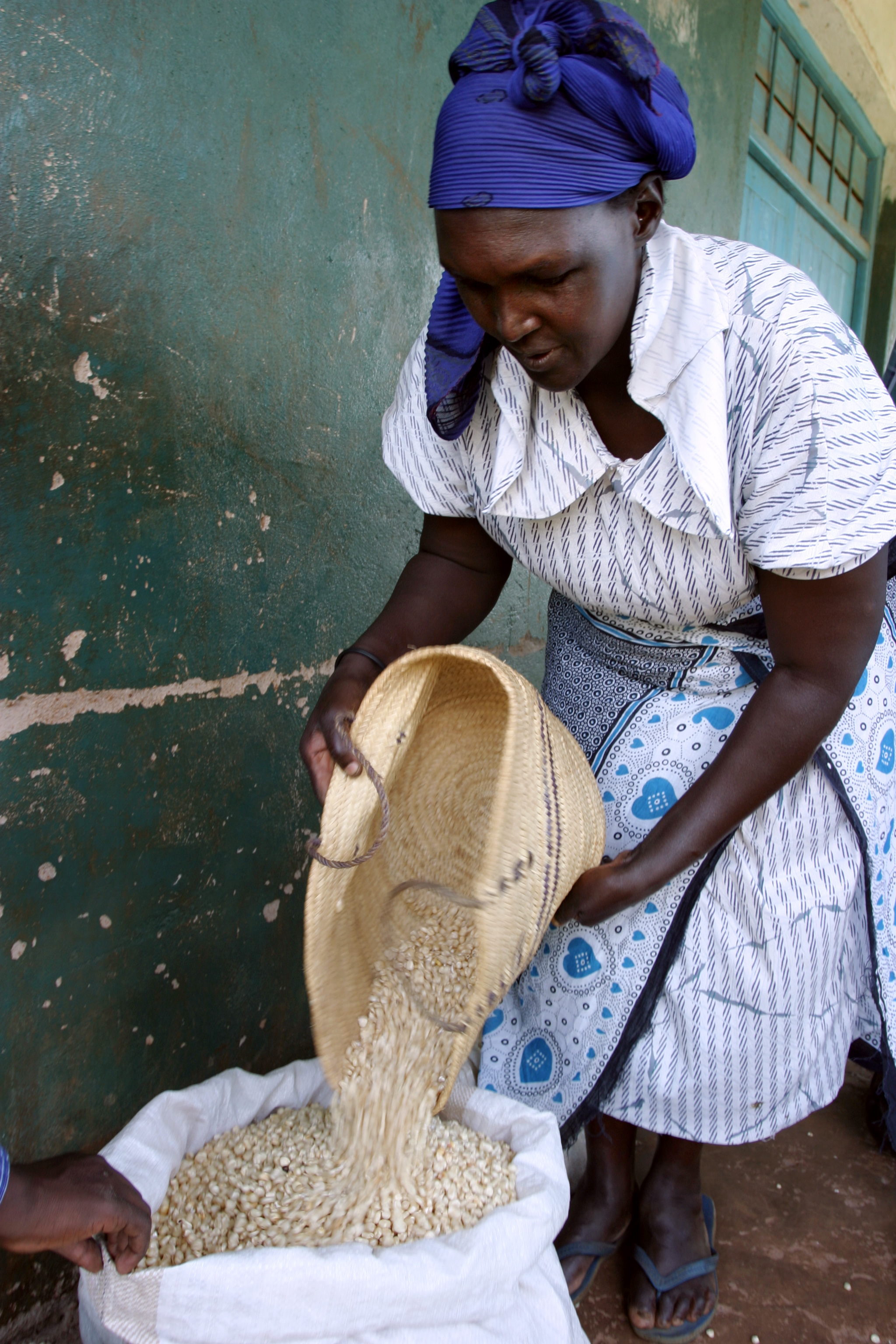 Buying Maize in Kenya