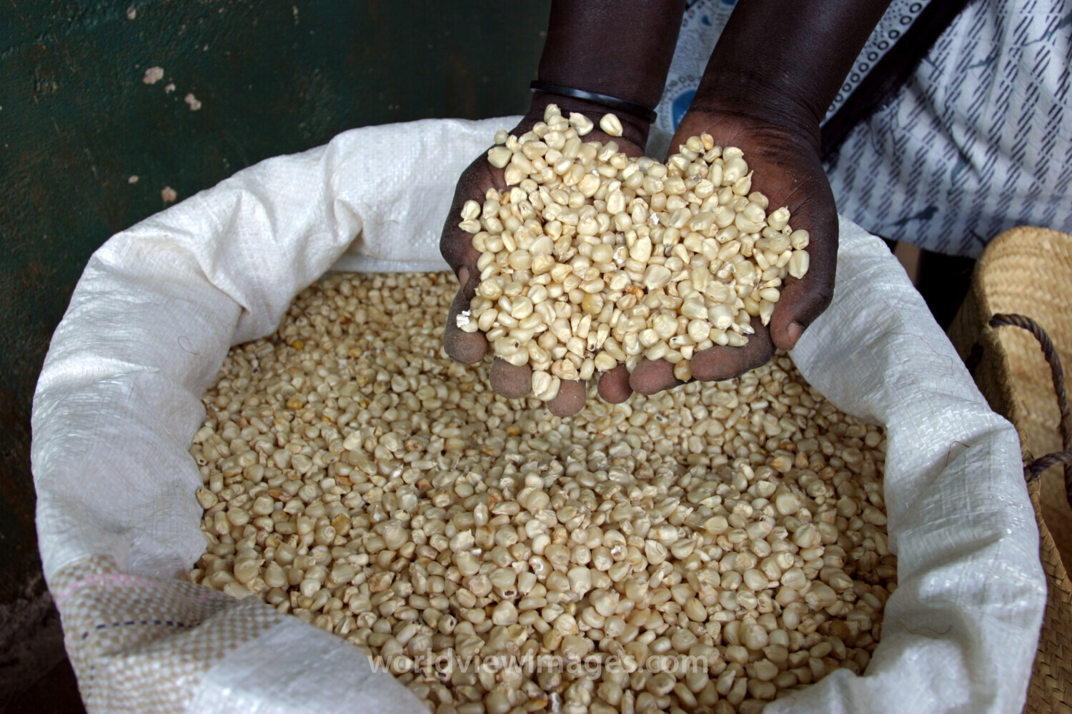 Buying Maize in Kenya