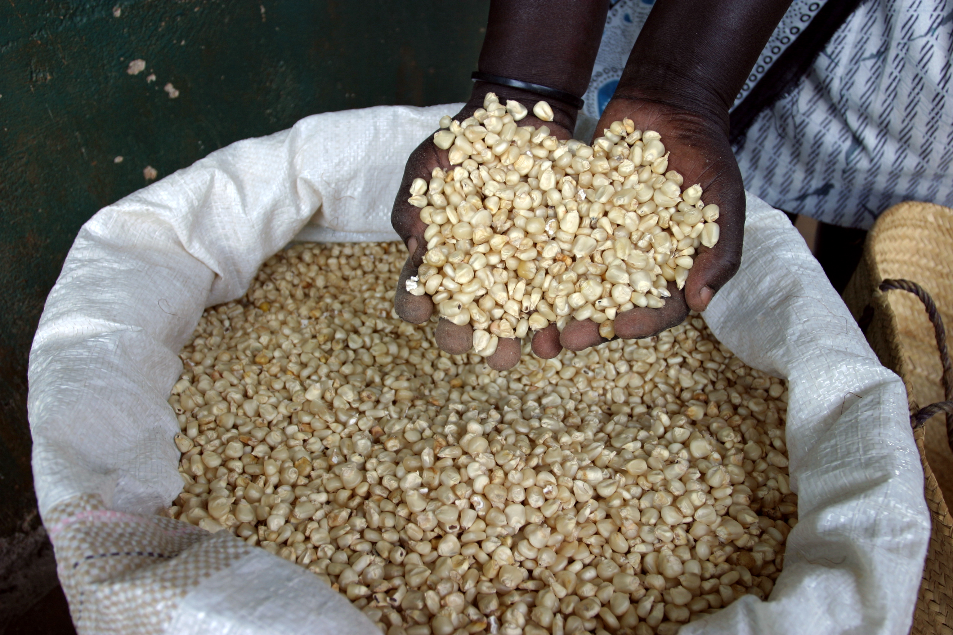 Buying Maize in Kenya