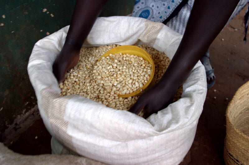 Buying Maize in Kenya — Kenya, Food, Food Security, corn, maize