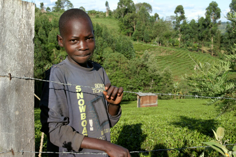 Boy in Kenya — Kenya, Child, children, kids, Africa
