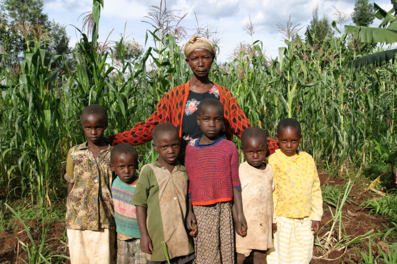 Gandmother and her Grandkids — Grandma taking care of six grandchildren because their parrents have died of HIV/AIDS — Kenya, Africa, children, woman, grandm...