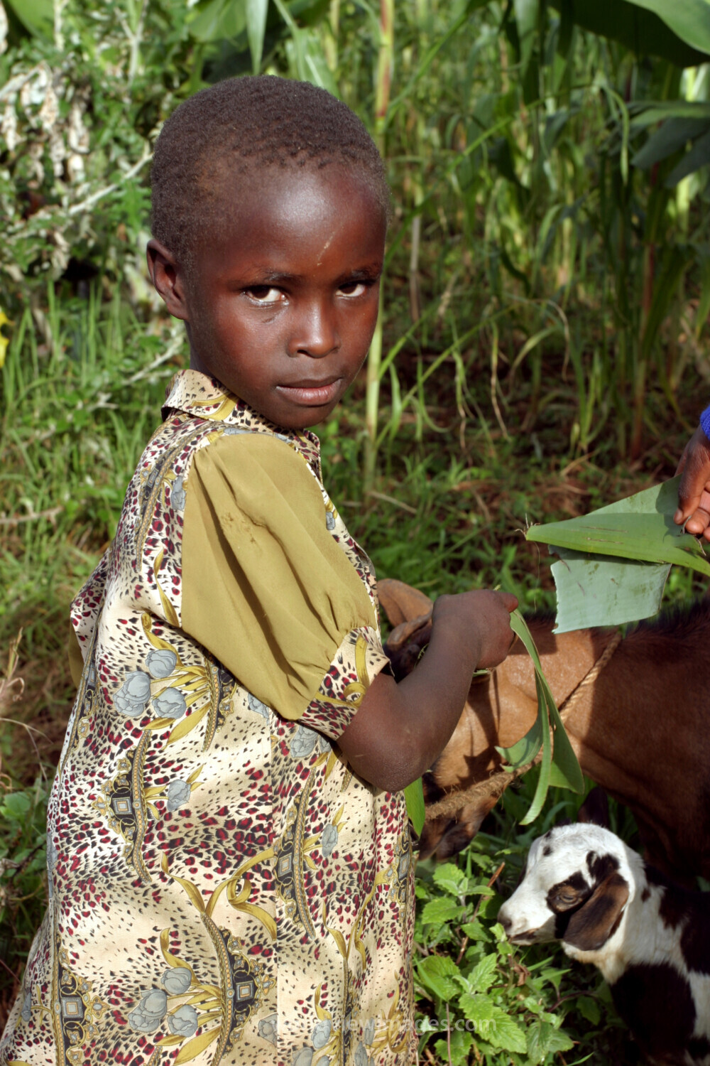 Girl in Kenya