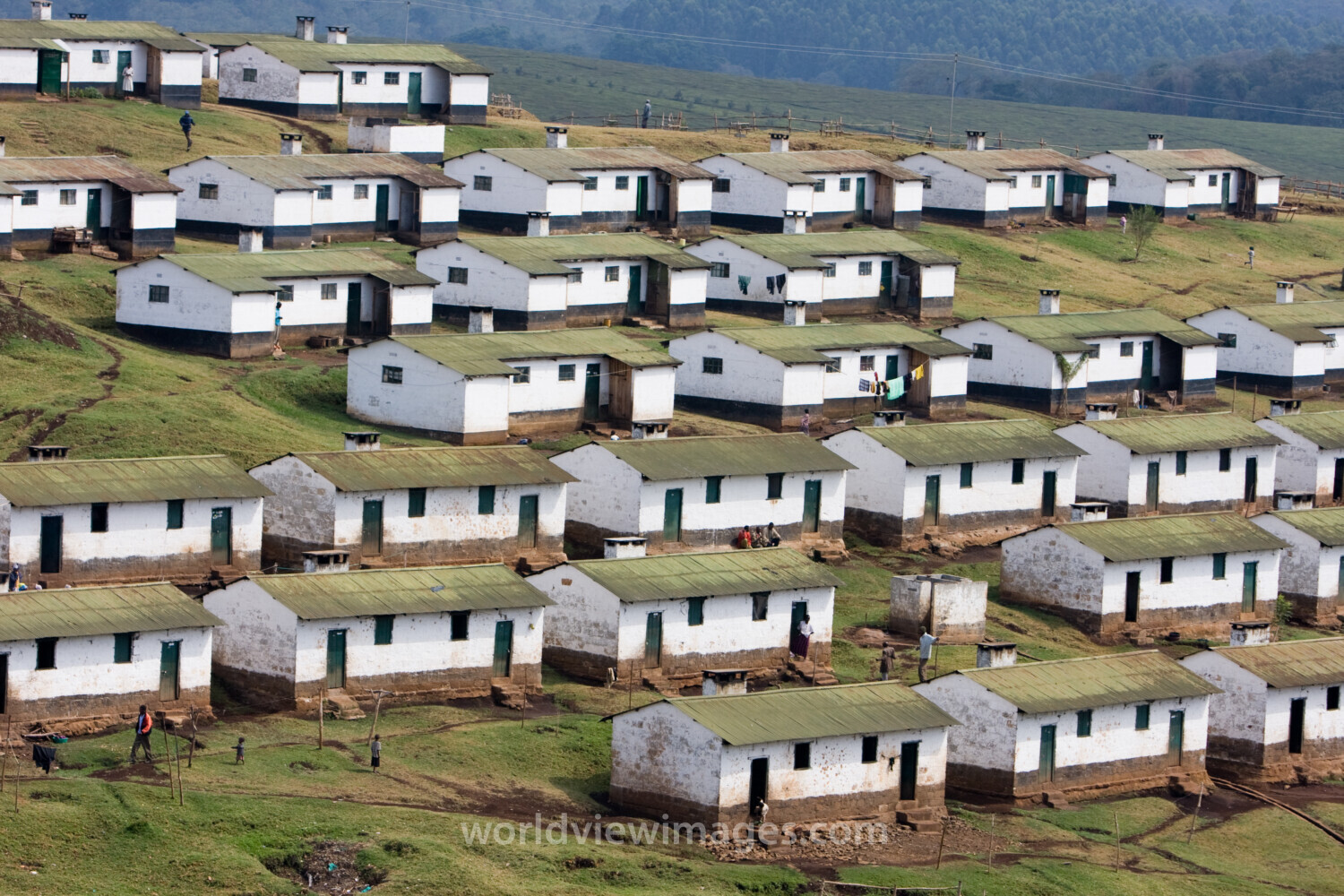Housing for tea plantation workers in Kenya