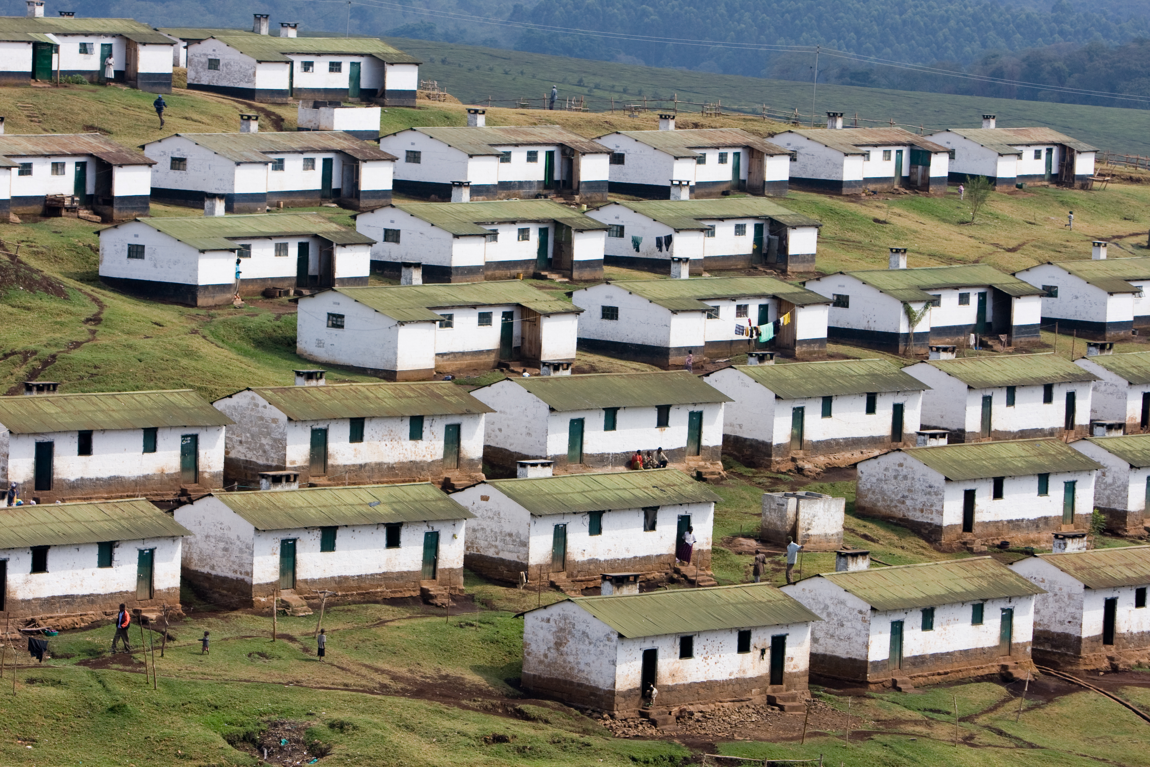 Housing for tea plantation workers in Kenya
