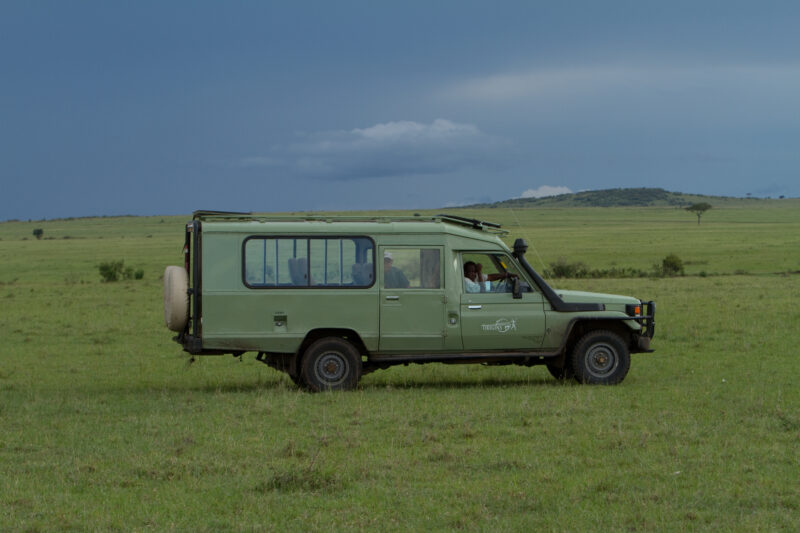 WVI_010239 — Kenya, Africa, game park, Masai Mara