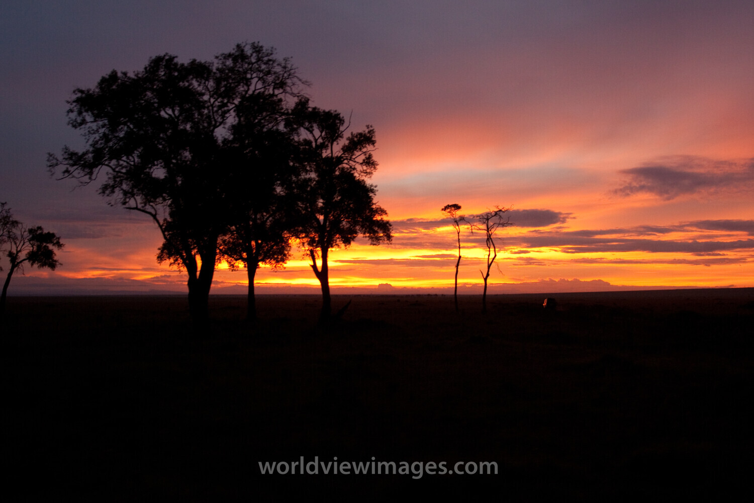 Sunset in Maasai Mara