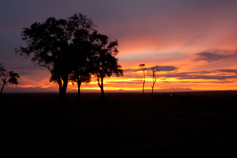 Sunset in Maasai Mara — Kenya, Africa, game park, Masai Mara, sunset