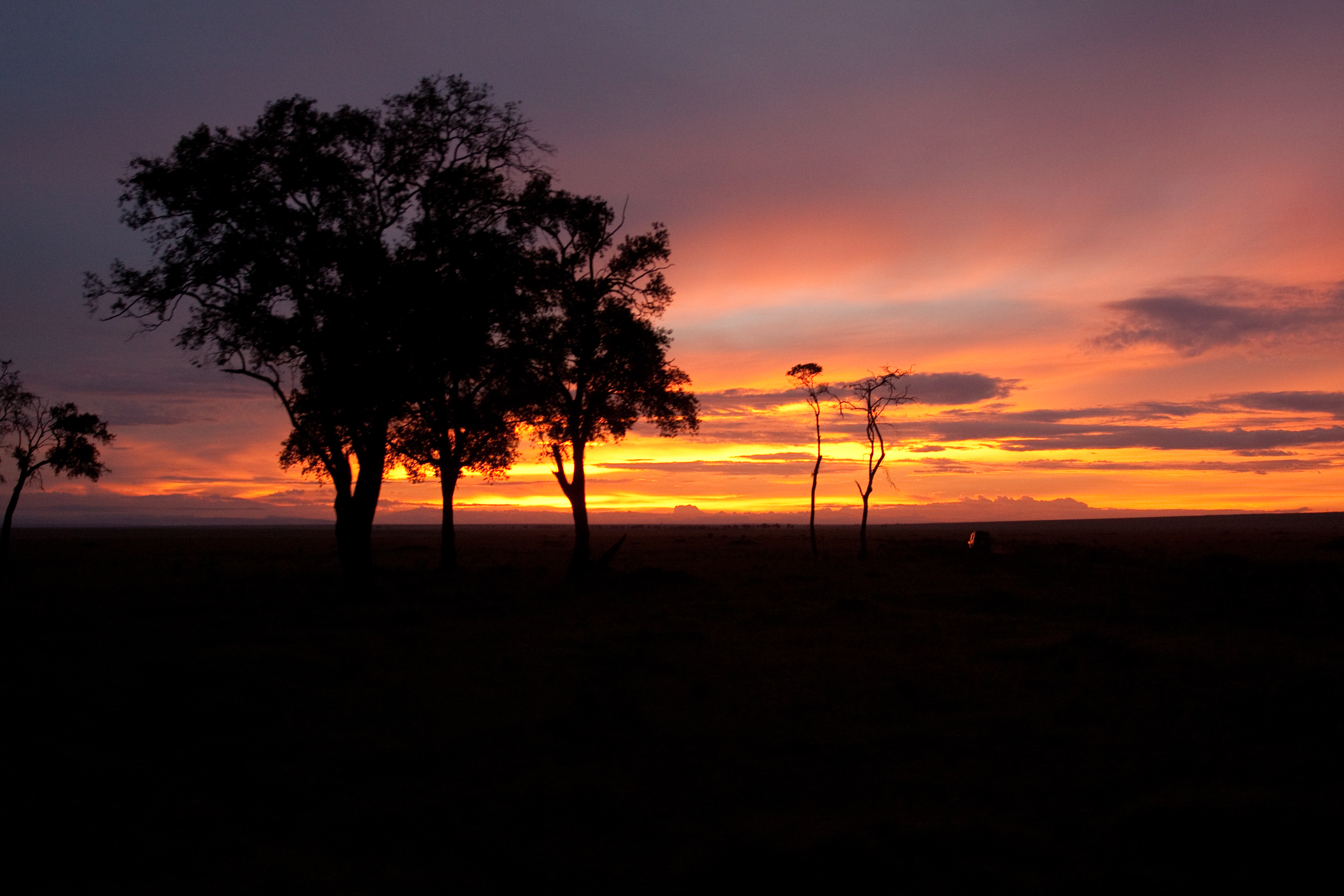 Sunset in Maasai Mara