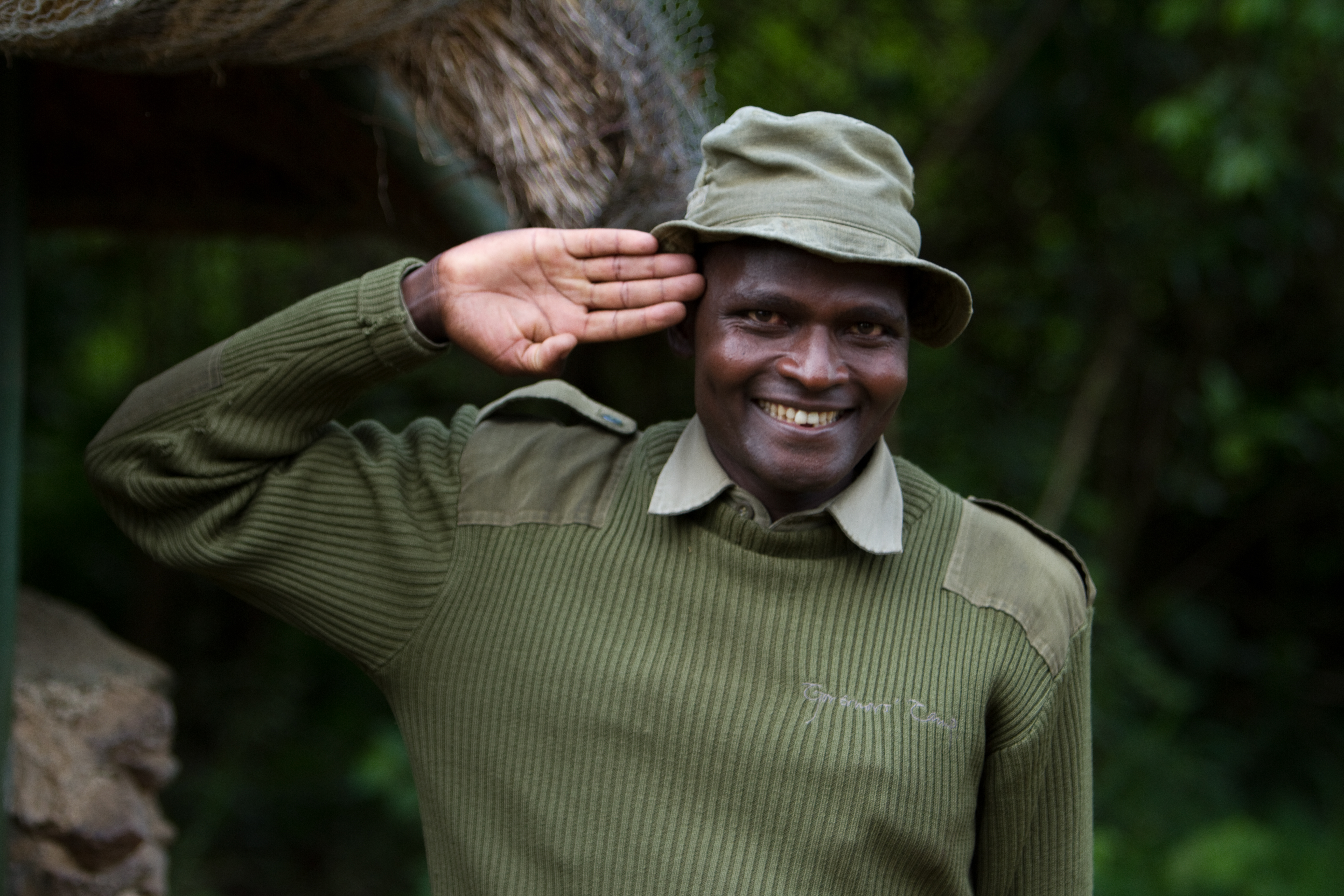 Gate Guard at the Game park