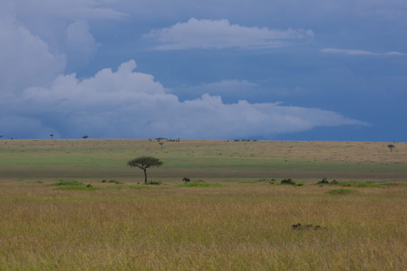 Maasai Mara — Kenya, Africa, game park, Masai Mara