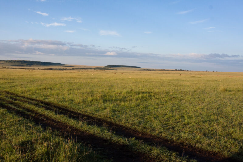 Maasai Mara — Kenya, Africa, Masai Mara, Maasai, Pastoralists