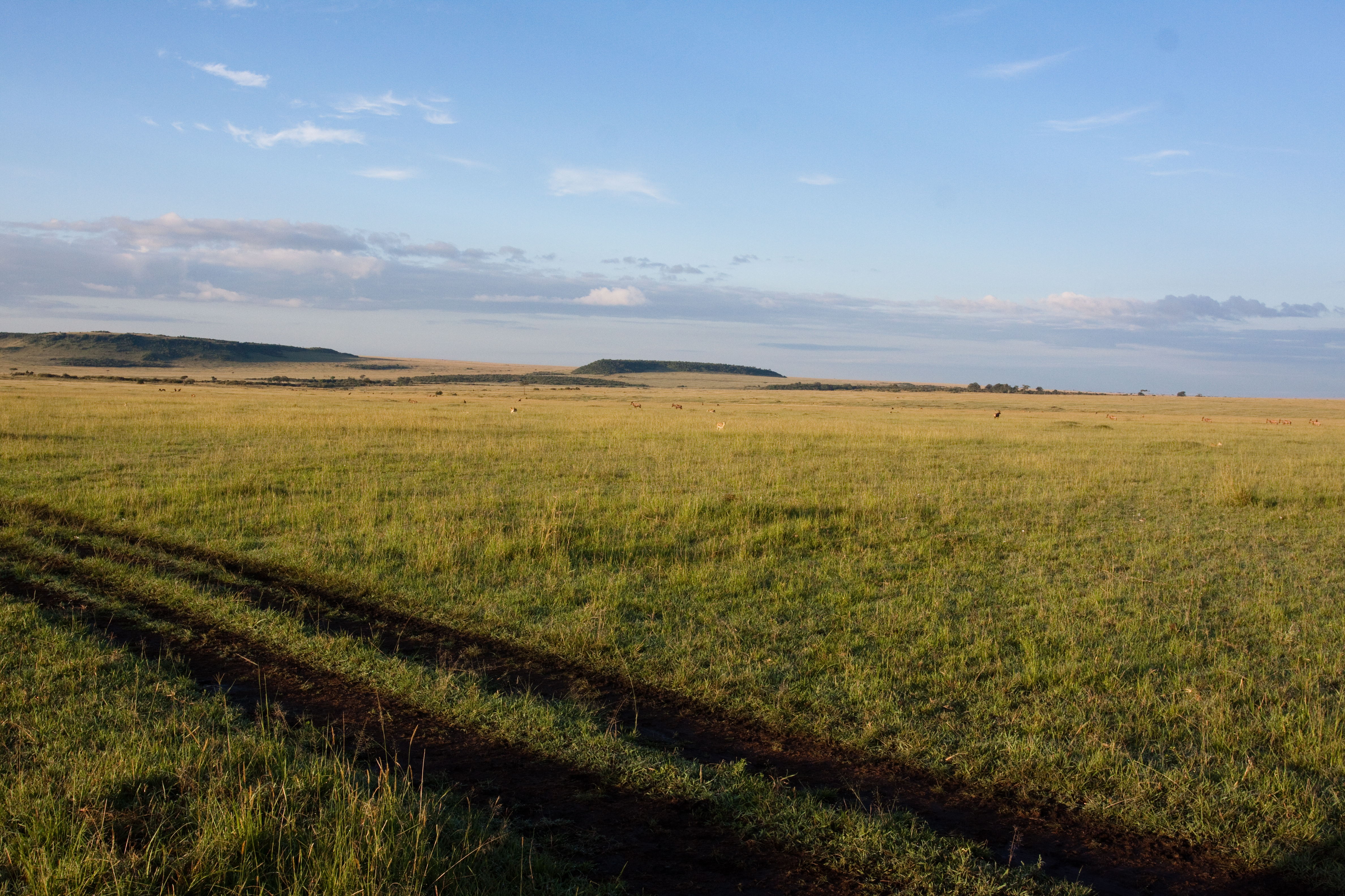 Maasai Mara