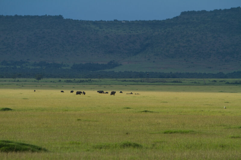 Maasai Mara — Kenya, Africa, Masai Mara, Maasai, Pastoralists
