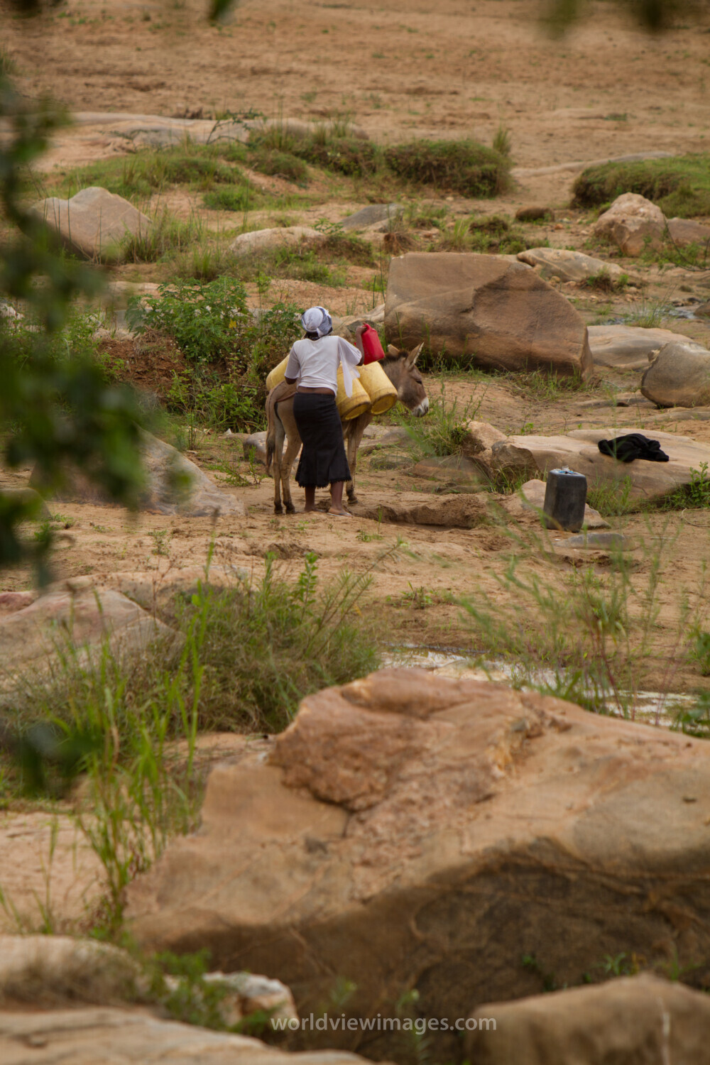 Collecting Water in Kenya