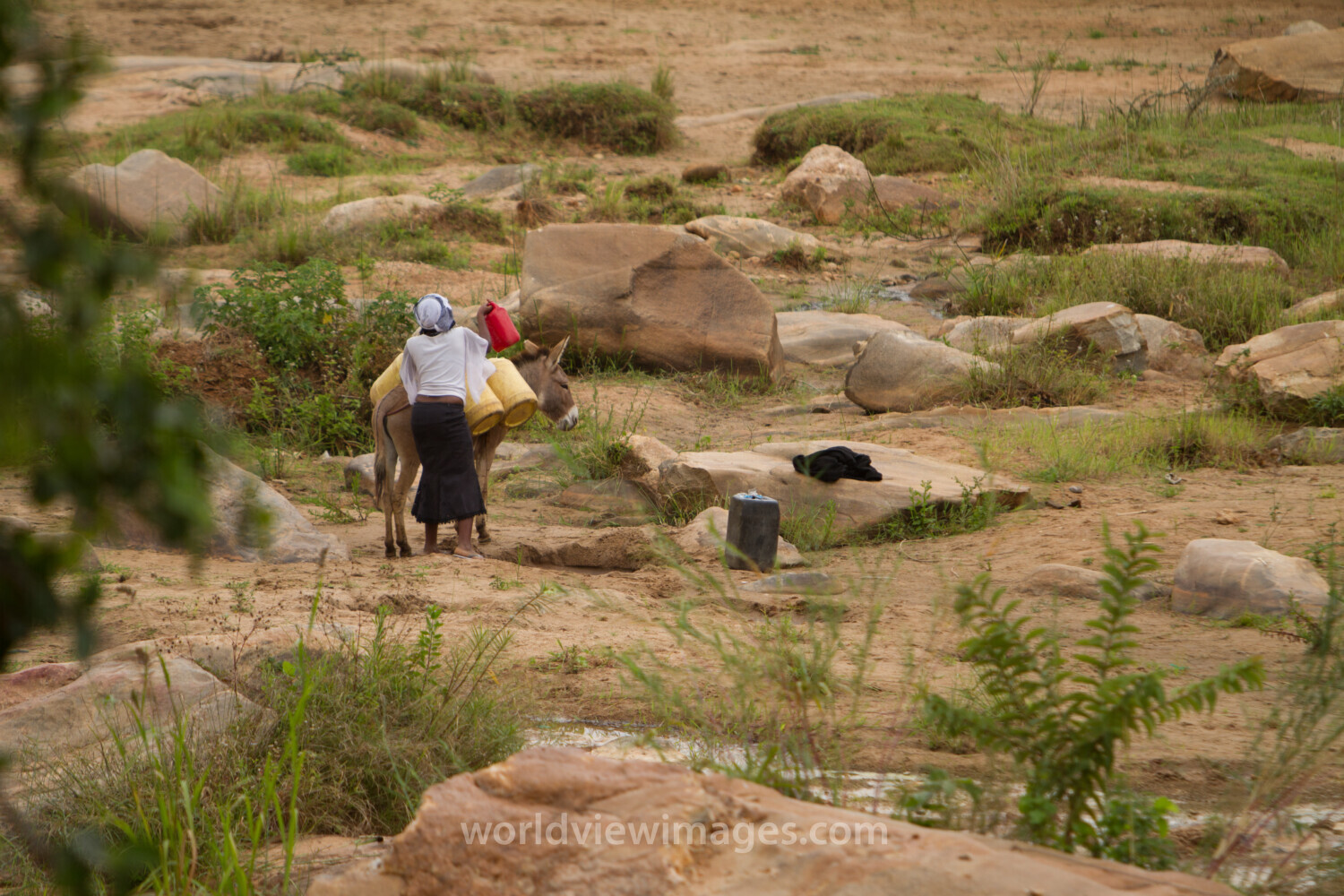 Collecting Water in Kenya