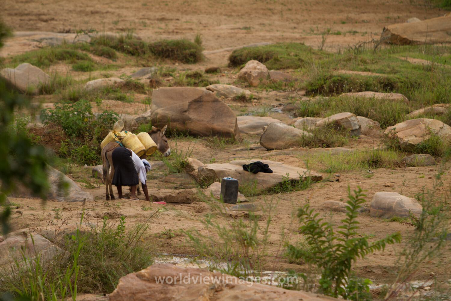 Collecting Water in Kenya