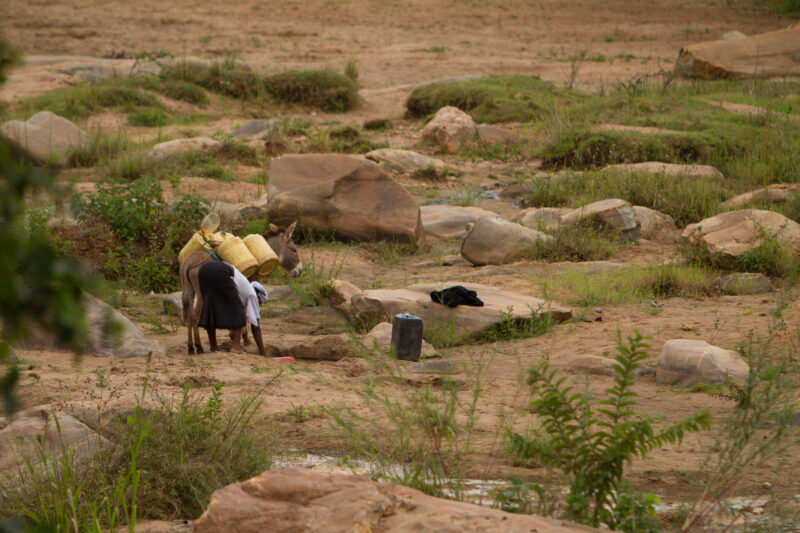 Collecting Water in Kenya — Woman collects water at a dam in Eastern Kenya with her donkey — Kenya, Africa