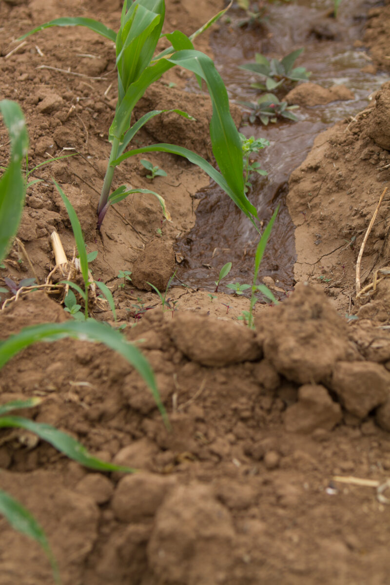 Photo: WVI_010327 — Kenya, Africa