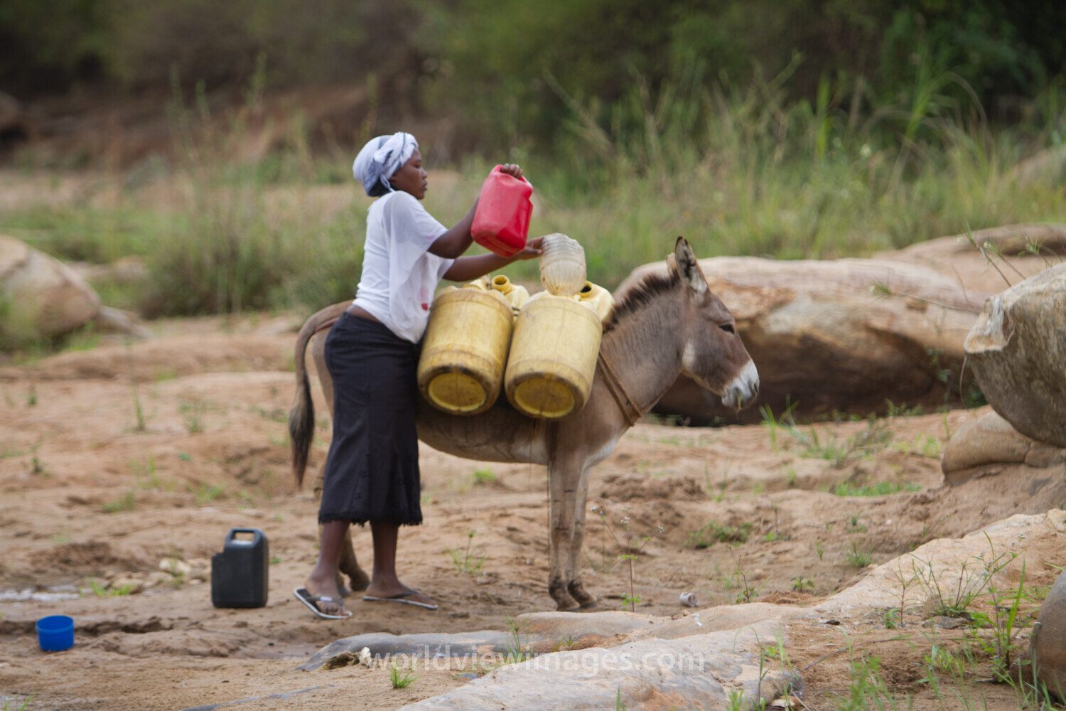 Collecting Water in Kenya