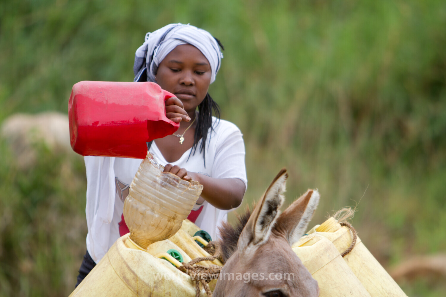 Collecting Water in Kenya