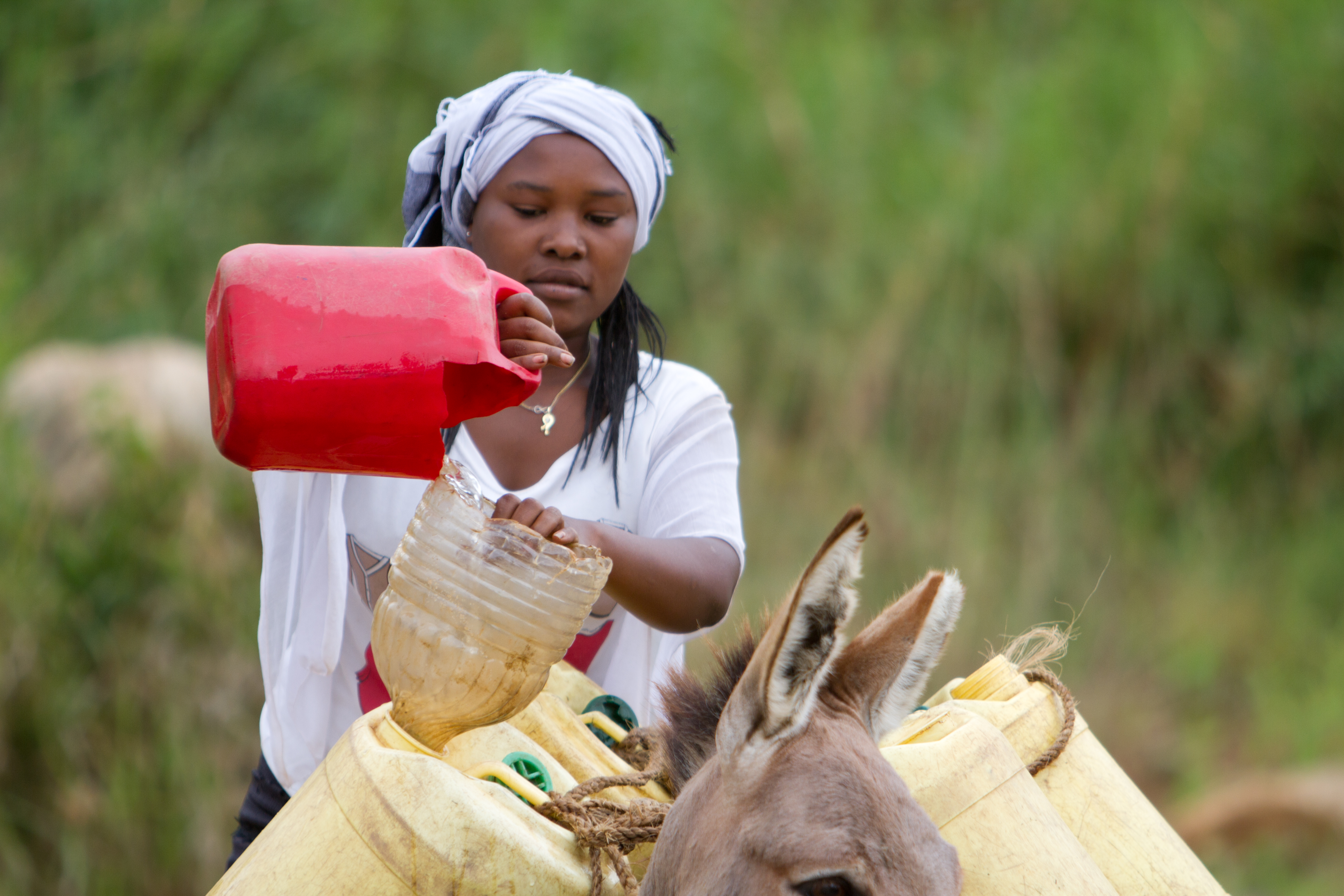 Collecting Water in Kenya