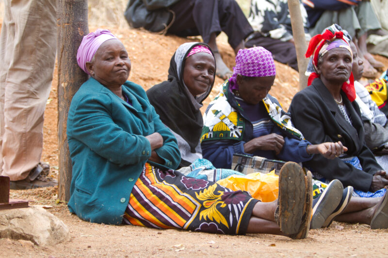 Agricultural Instruction — At a field training session, Kenyans learn new techniques for growing better craps and kitchen gardens. — Kenya, Africa, training,...