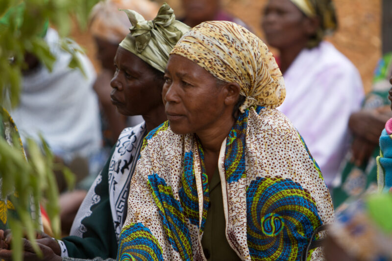 Agricultural Instruction — At a field training session, Kenyans learn new techniques for growing better craps and kitchen gardens. — Kenya, Africa, woman, wo...