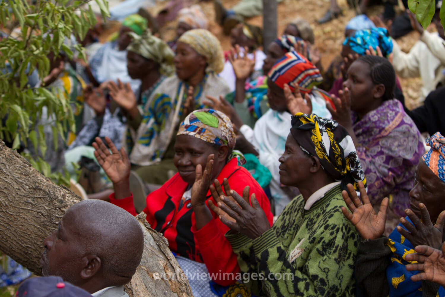 Agricultural Instruction