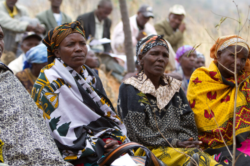 Agricultural Instruction — At a field training session, Kenyans learn new techniques for growing better craps and kitchen gardens. — Kenya, Africa, training,...