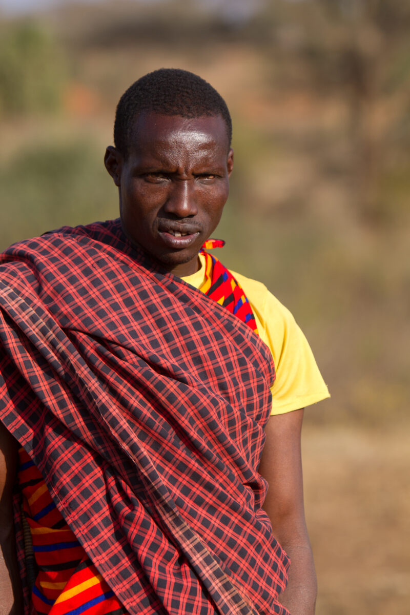 Massai Man in Kenya — A man of the Massai ethnic group in a field watching his cattle. — Kenya, Africa, Maasai, Ethnic, man