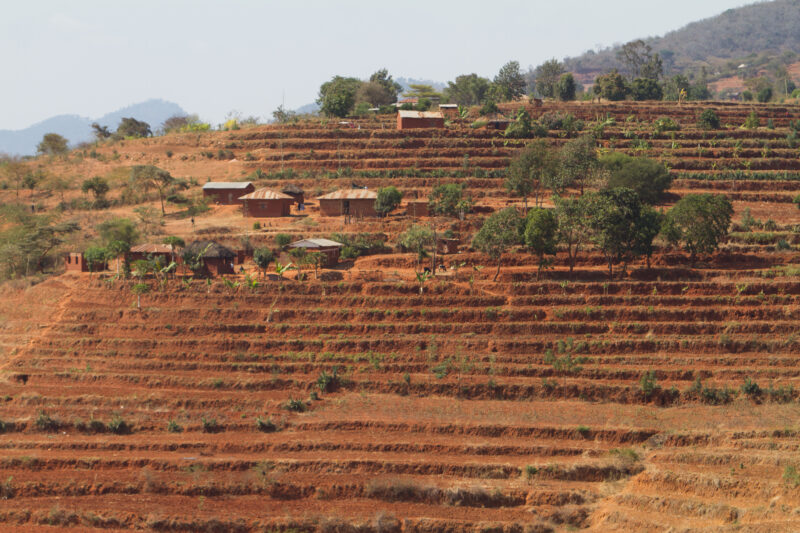 Terracing in Kenya — Farmers experienced a 50% increase in their crops by developing their hillsides for agriculture using terracing — Kenya, Africa, Agricul...