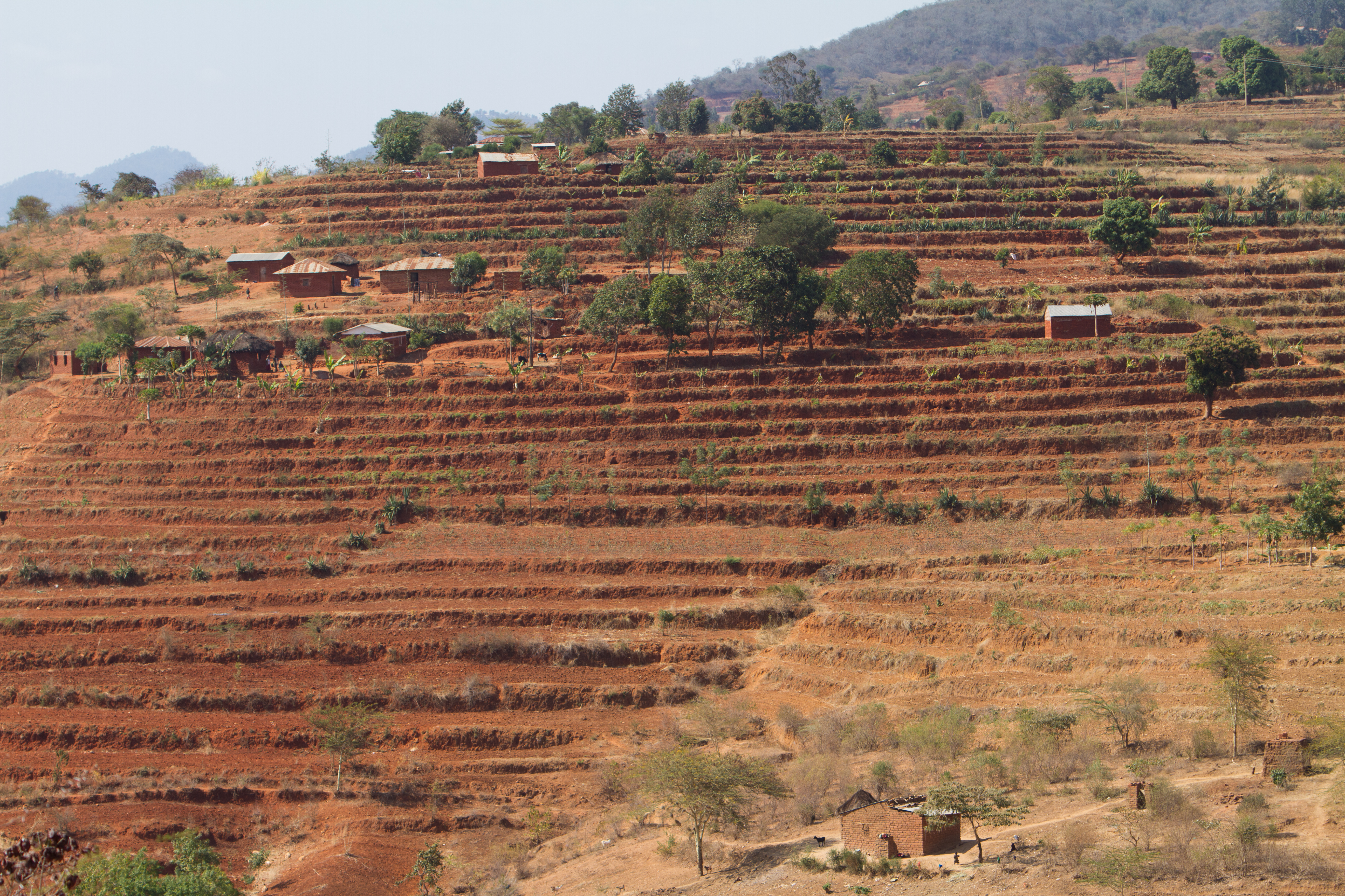 Terracing in Kenya